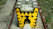 lunar | yellow | cat | zagreb | croatia | balkans (42 votes)