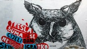 mrfsrf | bird | zagreb | croatia | balkans (41 votes)