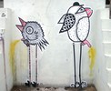 fars | mad-mouse | bird | bulgaria | balkans (10 votes)