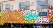 snof | train | food | slovenia | balkans (26 votes)