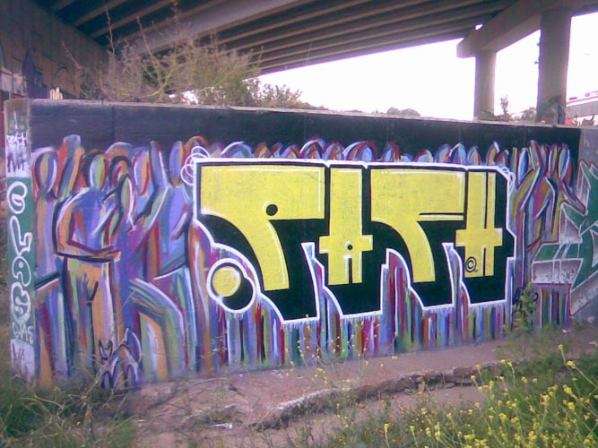 gato | pafh | barcelona