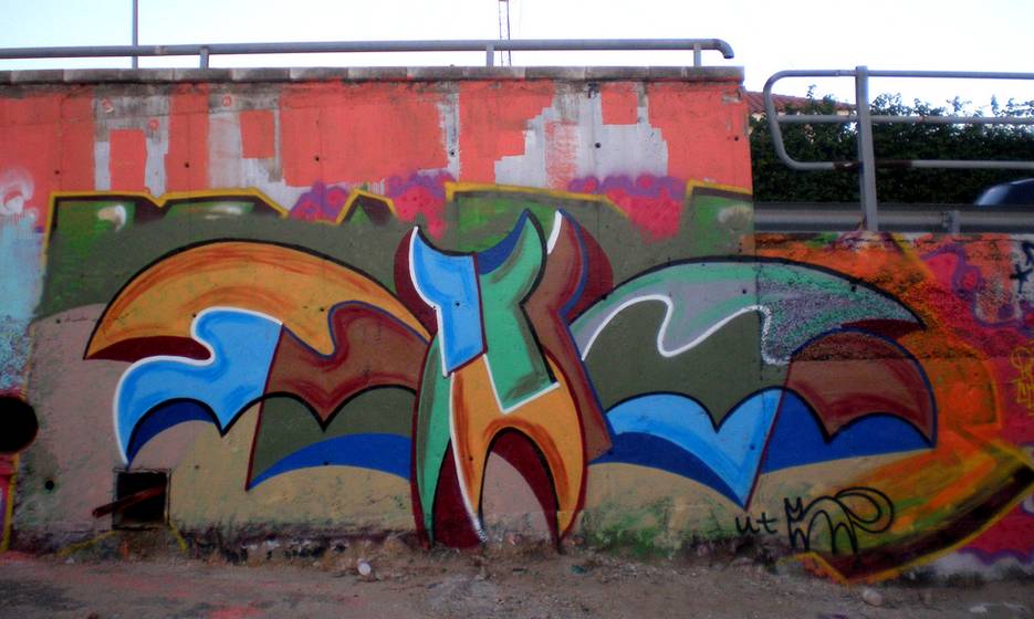 gato | barcelona