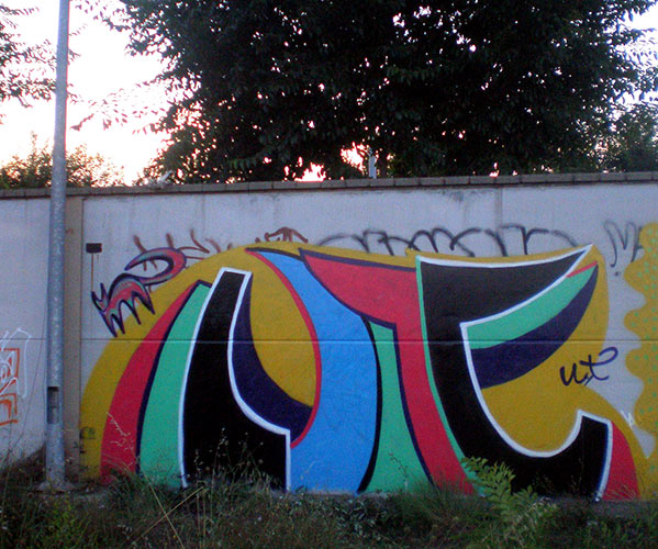 gato | barcelona
