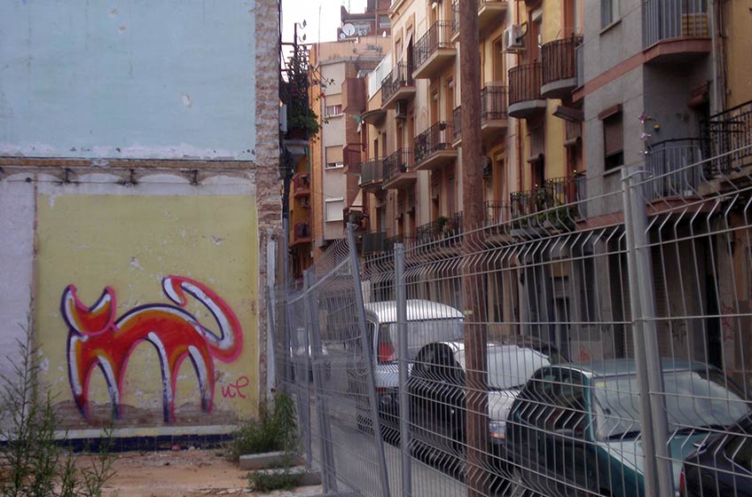 gato | cat | barcelona