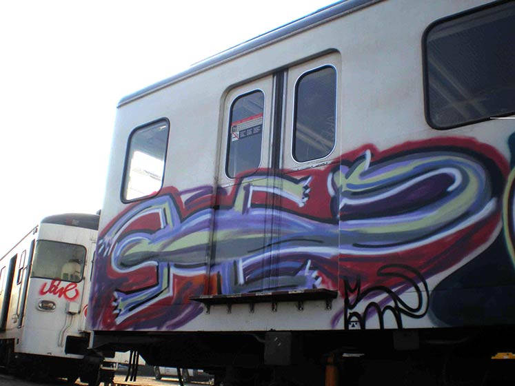 gato | metro | barcelona
