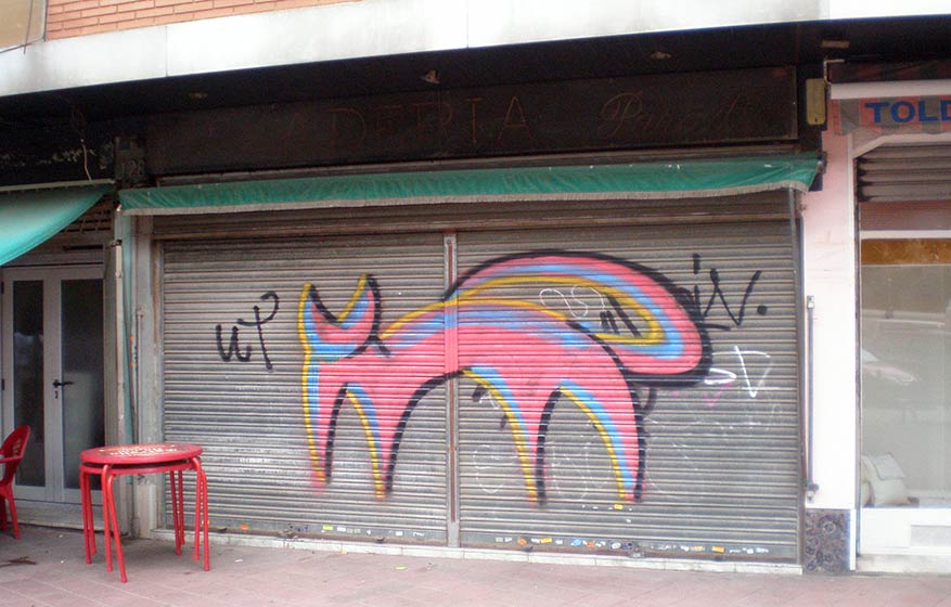 gato | shutters | barcelona