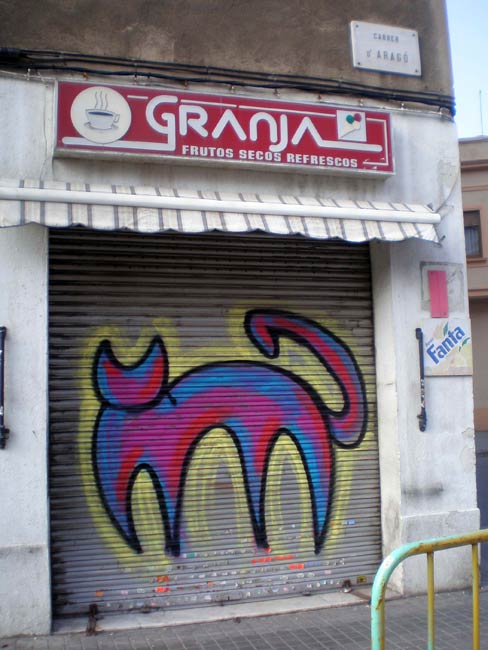 gato | shutters | barcelona