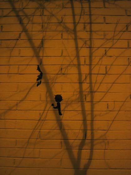 lolo | shadow | tree | barcelona