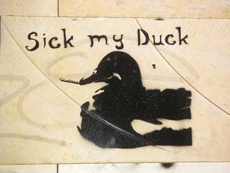 sick | duck | barcelona
