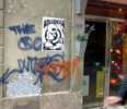 crooked | ind | pez | barcelona (2 votes)