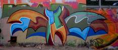 gato | barcelona (21 votes)