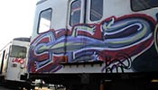 gato | metro | barcelona (25 votes)