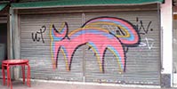 gato | shutters | barcelona (13 votes)
