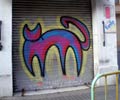 gato | shutters | barcelona (10 votes)
