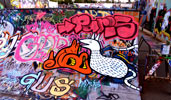 ibie | edjinn | vss | bcb | sandiego | skate | barcelona (18 votes)