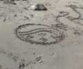 malicia | 1980crew | beach | barcelona (1 vote)