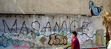 mas-amor | martinez | ripo | barcelona | pigeon (14 votes)