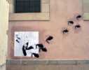 mkan | elpoupo | barcelona (1 vote)