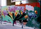 ovoler | wif | barcelona (1 vote)