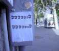 pez | barcelona (1 vote)