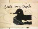 sick | duck | barcelona (3 votes)