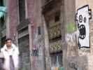 specio | barcelona (1 vote)