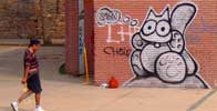 sqon | barcelona | cat (3 votes)