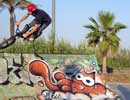 sqon | skate | barcelona | cat (3 votes)