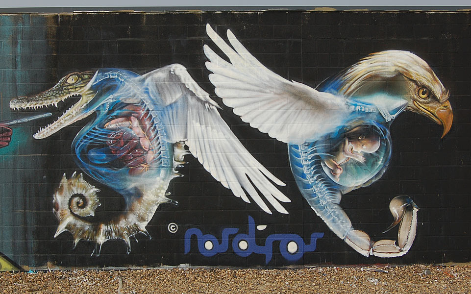 polakone | fuckone | nosotros-crew | belgium