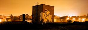 qui | brugge | night | bird | belgium (23 votes)