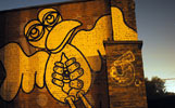 qui | bird | night | brugge | belgium (22 votes)