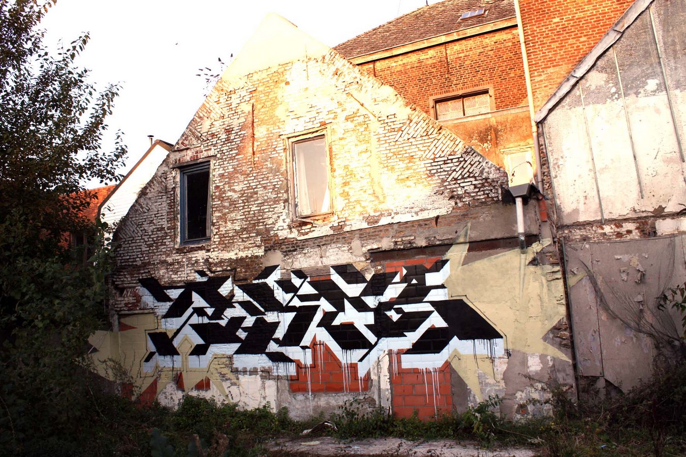 reab | doel | belgium