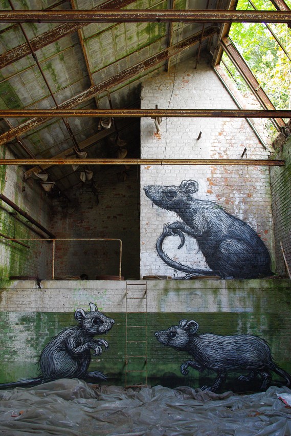 roa | gent | rat | belgium