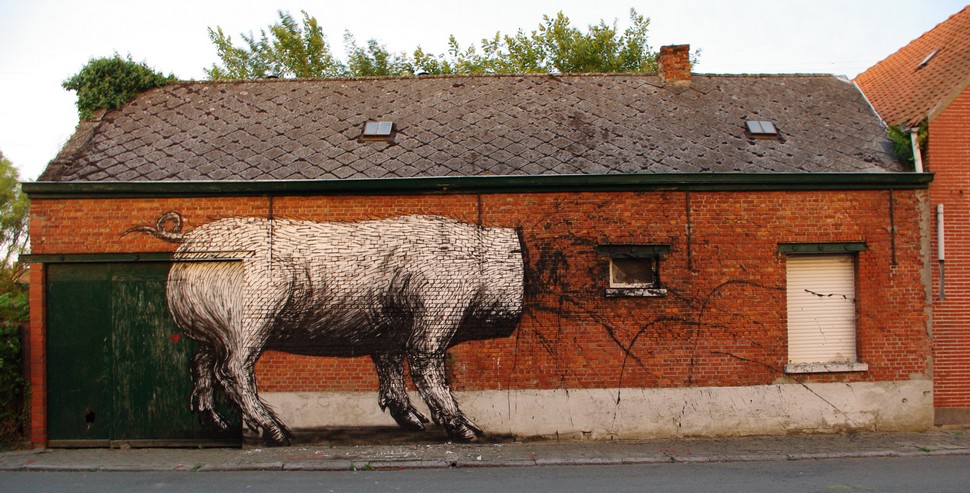 roa | pig | doel | belgium