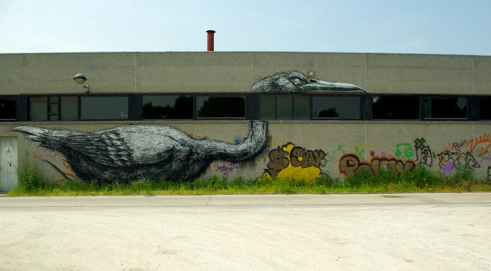roa | bird | gent | belgium