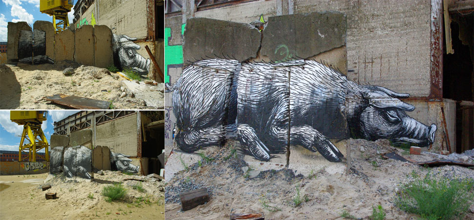 roa | pig | gent | belgium