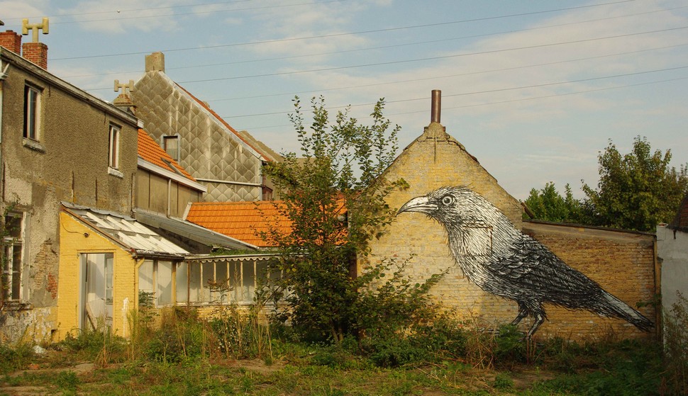 roa | bird | doel | belgium