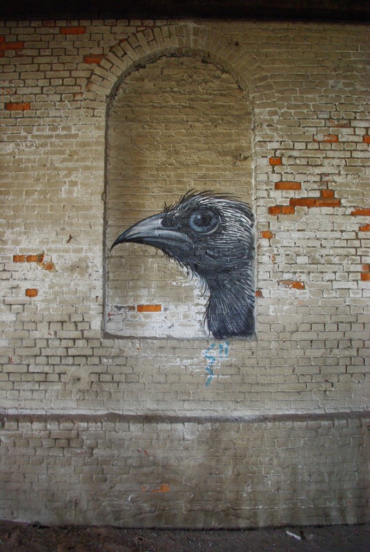 roa | bird | gent | belgium