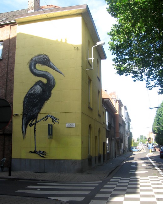 roa | gent | bird | belgium