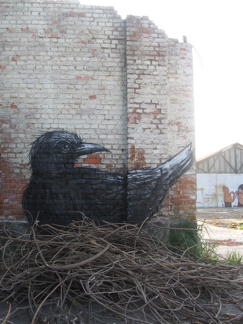 roa | gent | bird | belgium