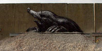 roa | gent | belgium (26 votes)