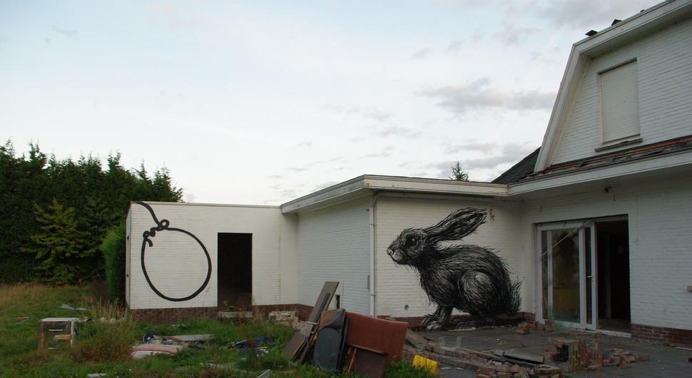 roa | rabbit | doel | belgium