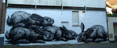 roa | rabbit | gent | belgium (19 votes)