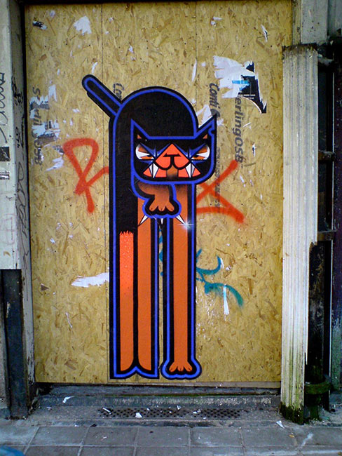 blancbec | cat | bruxelles | belgium