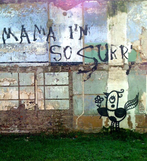 bue | bird | belgium