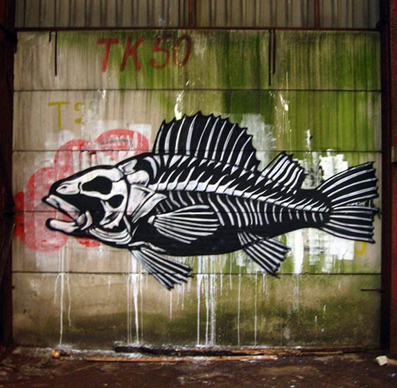 roa | fish | belgium