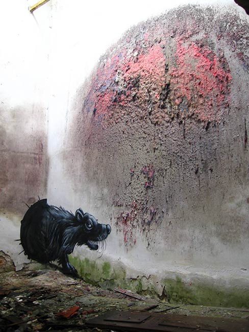 roa | rat | belgium