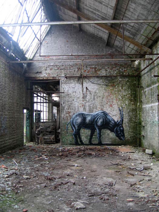 roa | belgium