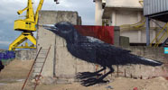 roa | bird | gent | belgium (36 votes)