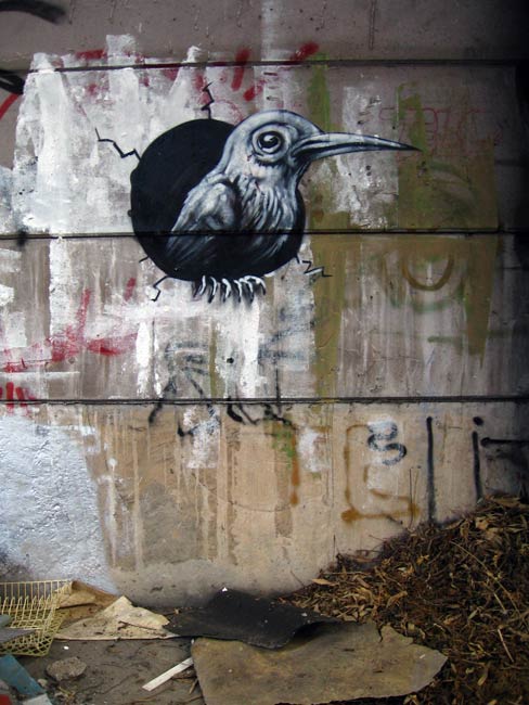 roa | bird | belgium